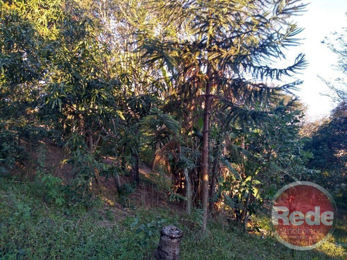 Imagem 3 de 20 de Chácara Com 2 Dormitórios À Venda, 2500 M² Por R$ 700.000,00 - Santa Cecília I - São José Dos Campos/sp - Ch0058