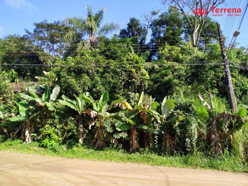 Imagem 5 de 5 de Excelente Terreno Plano Com 1.330,56m² - Velha - Blumenau/sc - Te0167