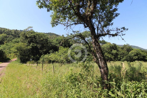 Imagem 2 de 15 de Área De Terra À Venda Em Picada Schneider 30000 M²- Presidente Lucena/rs - Ar0014