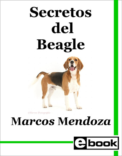 Beagle Libro Adiestramiento Canino Cachorro Adulto Crianza