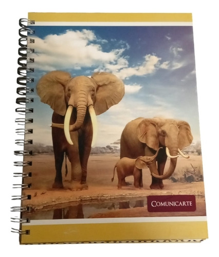 Cuaderno Universitario, Marca Comunicarte, 120 Hjs, Pack 10 