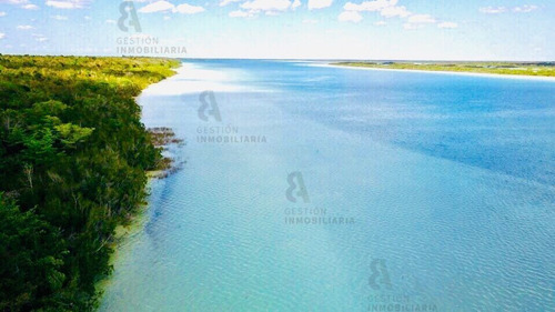 Imagen 6 de 8 de Terreno En Venta En Bacalar, Quintana Roo. Ctv139.