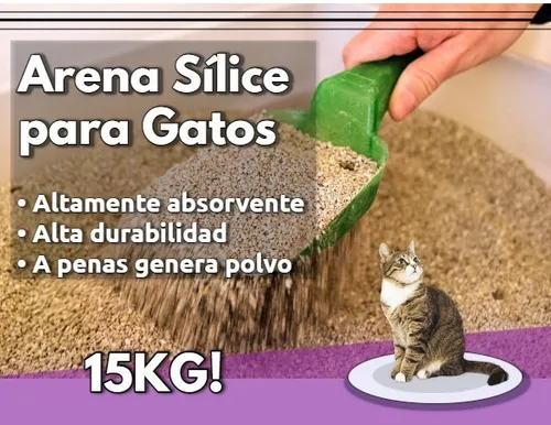 espina Memorándum fondo Caja De Arena Gatos | MercadoLibre 📦