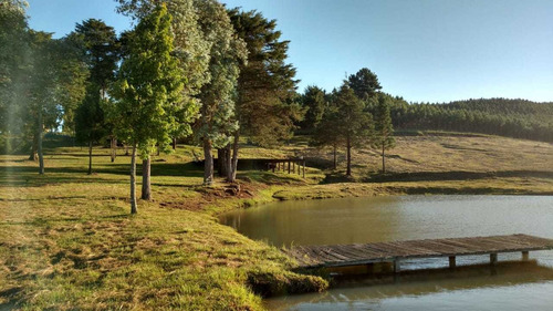 Fazenda Com 290 Hectares Para Pecuária E Lazer Em Gramado Rs