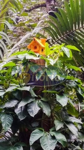 Imagem 14 de 16 de Chácara A Venda No Parque Botujuru - Sbc - 11689
