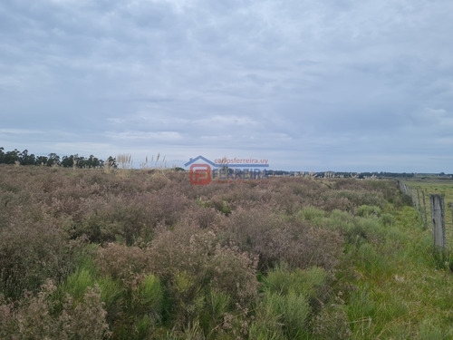 Vende Chacra De 5,6 Hectáreas - 50 Km. De Montevideo