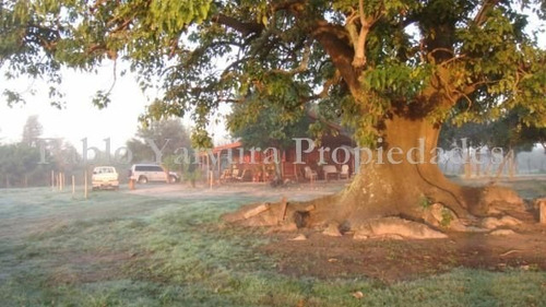 Campo En Venta En Esquina