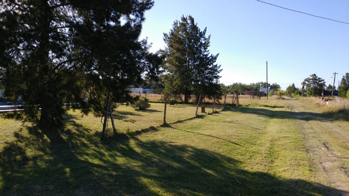 Imagen 14 de 14 de Casa Quinta Barrio El Rodeo Ruta 215 Calle 303 50 Y 52