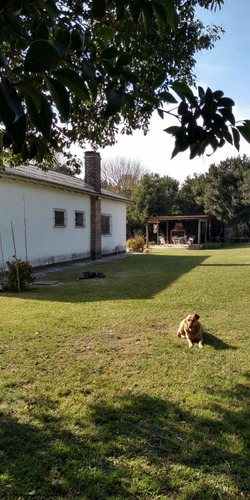Imagen 10 de 29 de Casa Quinta Lote 1200 Mts 4amb Cochera Casa Casero