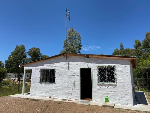 Domingo Arena Y José Pedro Varela