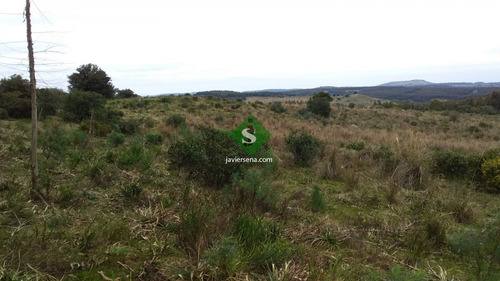 Venta De Chacra En Garzon, 8 Hectareas, Con Edificacion Para Reciclar Y Agua Permanente.- Ref: 167293