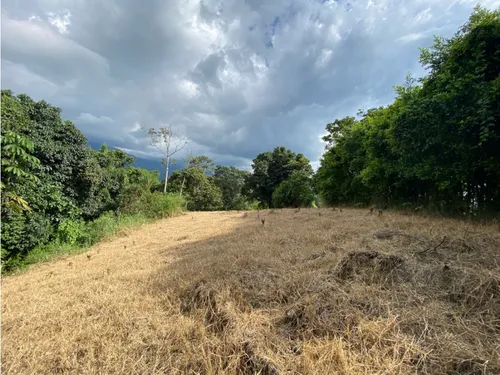 Lote En Venta Calarca- Vereda La Bella