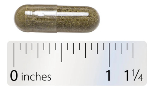 Echinacea Purpurea 1.200 Mg Dose 180 Caps - Nature's Way Eua