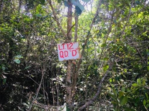 Vendo Terreno De 300 Mts No Regina Em Itanhaém - 6507 | Npc