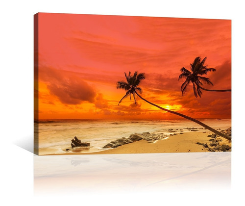 Cuadro Decorativo Naturaleza Canvas Playa Hermoso Atardecer