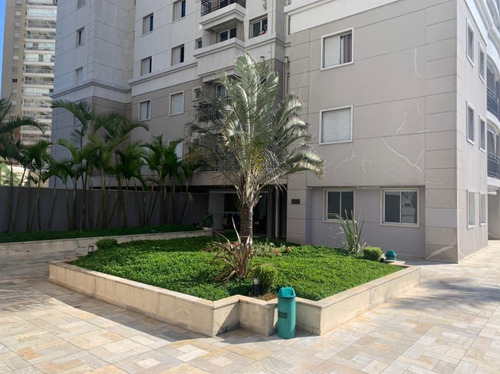 Imagem 20 de 21 de Apartamento 2 Quartos Santo André - Sp - Campestre - Rm552ap