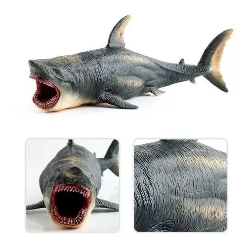 Comprar o Pacote dinheiro Megalodonte