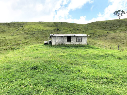 Se Vende Finca En Filandia Quindío 