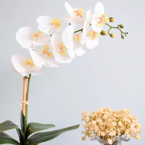 Arranjo De Orquídea Branca De Silicone No Vaso Vidro Transp