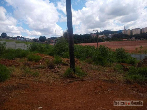 Imagem 7 de 11 de Terreno Aclive - 1.190 M² - Jardim São Miguel - Cotia - Te0379