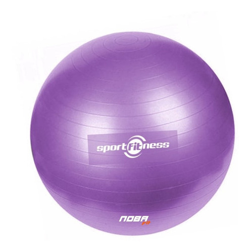 Balon De Pilates Bola Gimnasia 55cm Sport Fitness