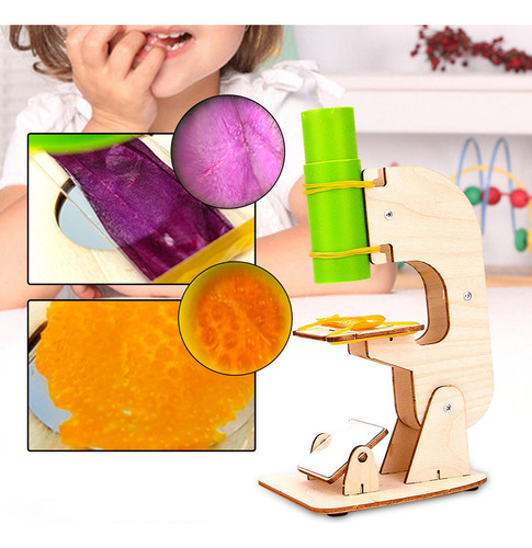 Juguetes De Ciencia Diy, Juguetes Educativos De Desarrollo,