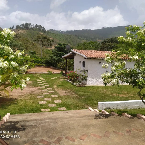 Venta De Finca En Lomas De Nirgua Yaracuy. - Inmobiliaria Maggi 1444