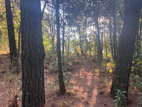 Imagen 9 de 10 de Terreno En Paraje Cuacuametla, Fracc. Real Montecasino, En H