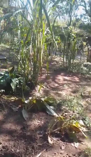 Imagen 8 de 11 de Venta Parcela 30.000mts2 Sector La Aguadita, San Carlos