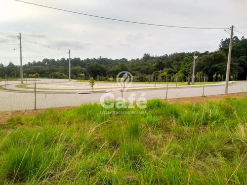 Imagem 3 de 30 de Terreno 12 X 25 Metros Real Park - 2855