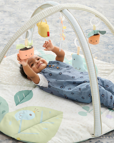 Gimnasio de Actividades Infantil Diseño Jardín Skip Hop 9m807310 Gris