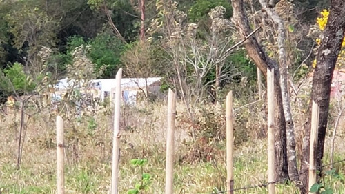 Imagem 6 de 7 de Sitio (estrada Do Canguiri) - Si0022