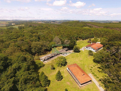 Imagem 28 de 30 de Sítio Com 4 Dormitórios À Venda, 51000 M² Por R$ 954.000,00 - Piedade - Piedade/sp - Si0171