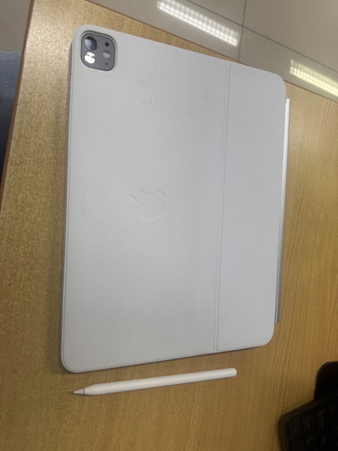Apple iPad M4 Pro 16gb Ram 256gb 13.9 Pantalla (Usado)