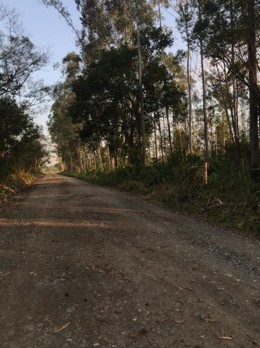 Imagem 17 de 29 de Fazenda À Venda, 3509000 M² Por R$ 2.000.000 - Centro - Pariquera-açu/sp - Fa0216