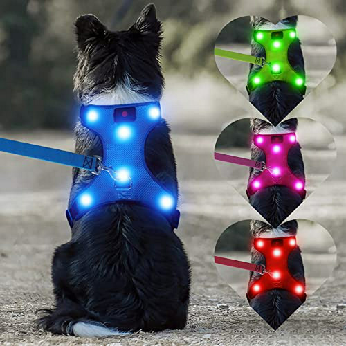 Arnés De Seguridad Para Perros Con Led, Chaleco Iluminado Pa