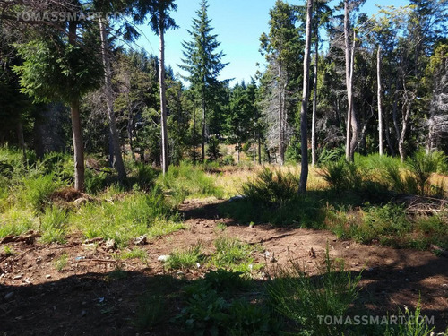 Imagen 2 de 5 de Terreno - Bariloche