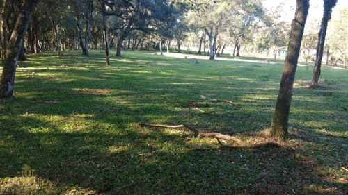 Imagem 13 de 29 de Terreno A Venda No Bairro Campina Da Barra Em Araucária - - 5584-1