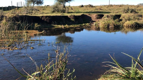 Se Vende Fracción De 66 Has En Villa Serrana. Ubicación Privilegiada Sobre Ruta! Gran Potencial Y Oferta De Recursos Naturales!