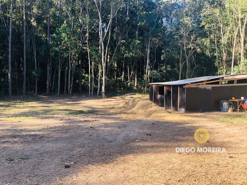 Imagem 14 de 15 de Sítio À Venda Em Franco Da Rocha Com 28.000 M² - St22