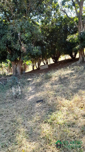 Imagem 10 de 15 de Fazenda Com Muita Água Em Peçanha - 3120