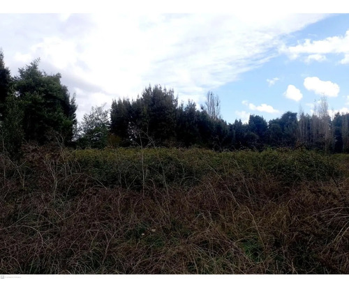 Lote A, Esperanza-villa Alegre