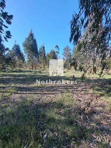 Sector Pancul Comuna Los Lagos (36669)
