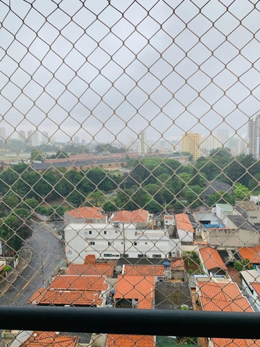Apartamento - Ap12178 - 69394593