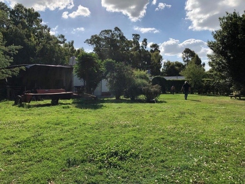 Imagen 3 de 8 de Campo Mixto De 492 Hectareas En Coronel Vidal