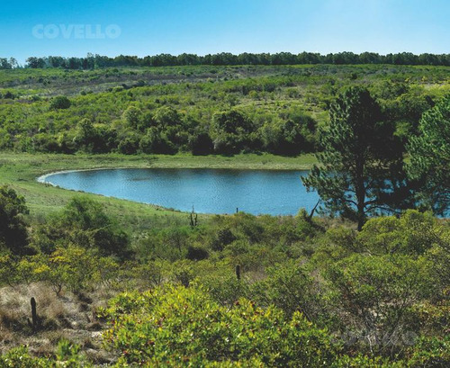 Terreno En Venta En Barrio Privado Carmelo, Médanos De Punta Gorda Casa Chic