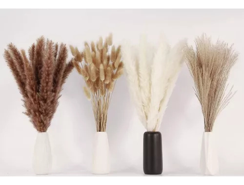 Decoración Seca Natural Capim Dos Pampas Plumas Con