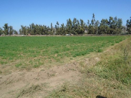 Se Vende Paño 17 Has. Totalmente Plano En Camino El Toro