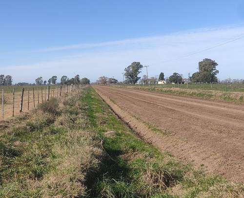 Excelente Campo 90% Agricola En Tres Sargentos