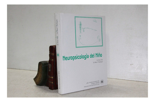 V. Feld Y M. T. Rodríguez - Neuropsicología Del Niño (lib